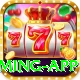 92 DADU Champion Gaming App
